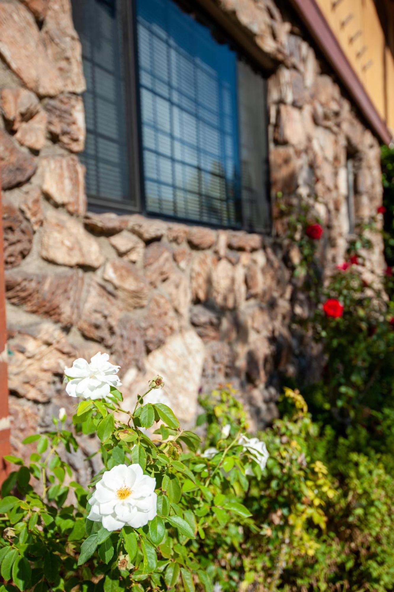 Studio City Court Yard Hotel Exterior foto
